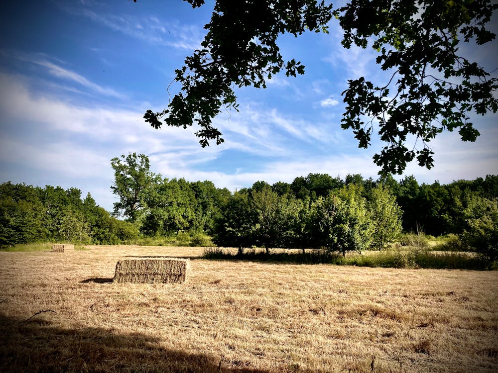 Why OKC Potholes Are Destroying Your Alignment